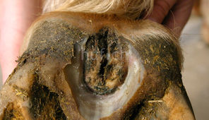 Beratung Beispielbild