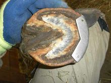 Zehenschutz aus Metall