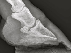 Stollen können den Gelenken schaden.