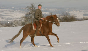 Reiten im Winter. Ein Ausrutschen kann schlimme Folgen haben.