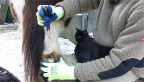 Beratung Beispielbild